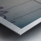 THE LITTLE GIANTS Metal print