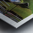 AUTO PORTRAIT 113 Metal print