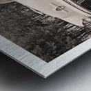 AUTO PORTRAIT 202 Metal print