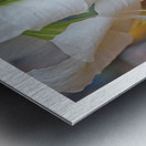 LE GENIE DE LA SIMPLICITE Metal print