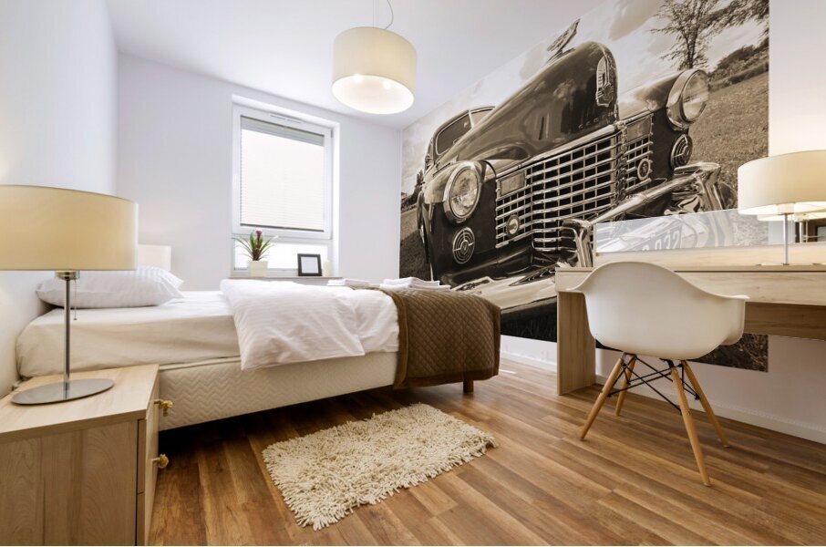 AUTO PORTRAIT 10 Mural print