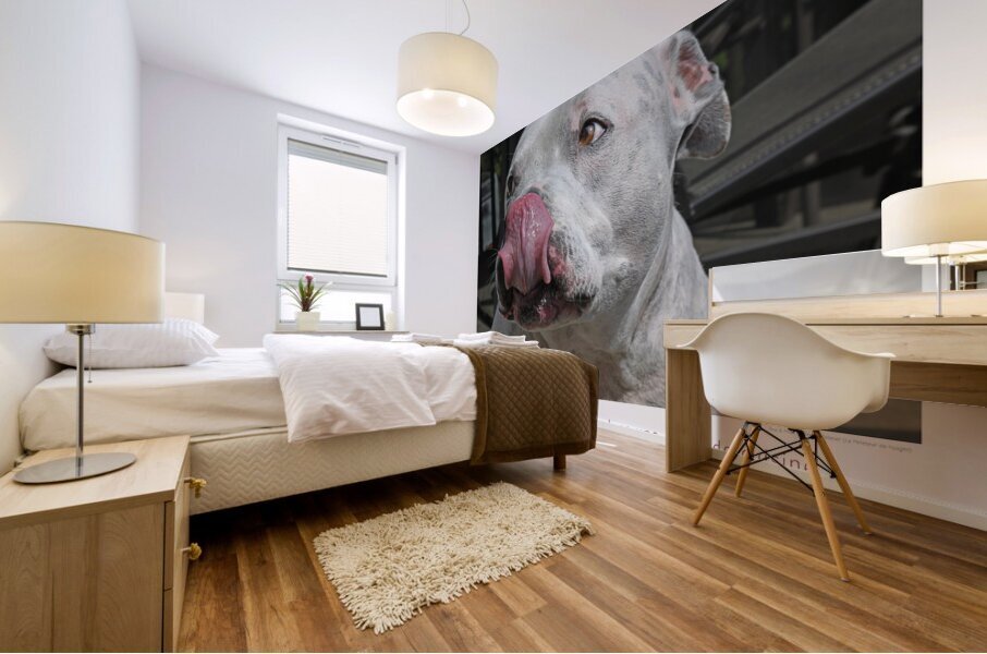 CORDON ROUGE Mural print