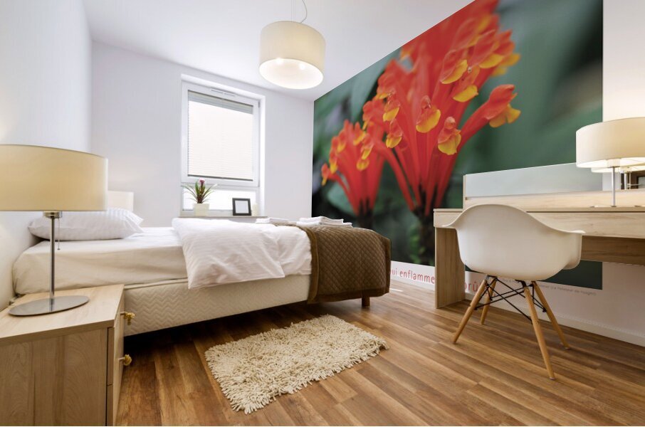 LES AMANTS ENFLAMMES Mural print