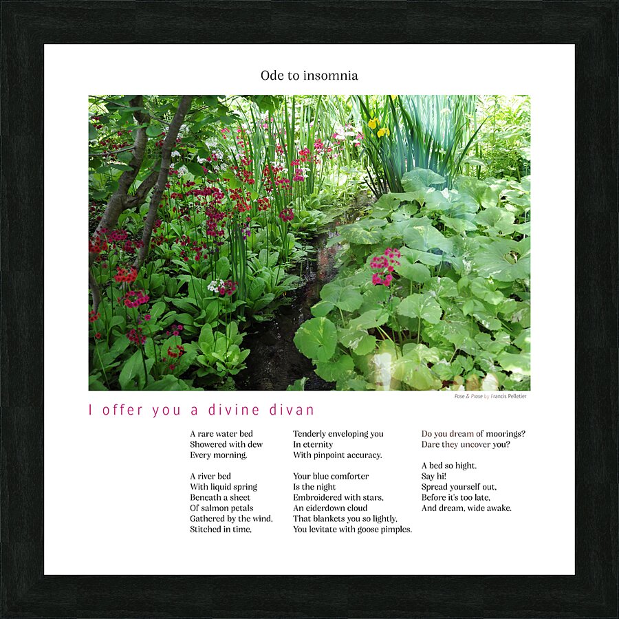 I OFFER YOU A DIVINE DIVAN Picture Frame print
