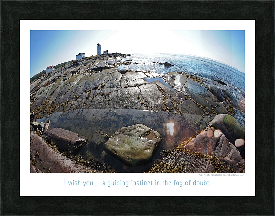 TRUST YOURSELF  Picture Frame print