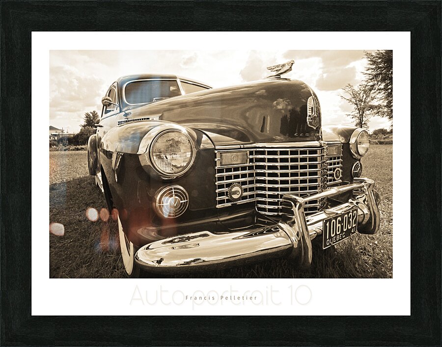 AUTO PORTRAIT 10 Picture Frame print