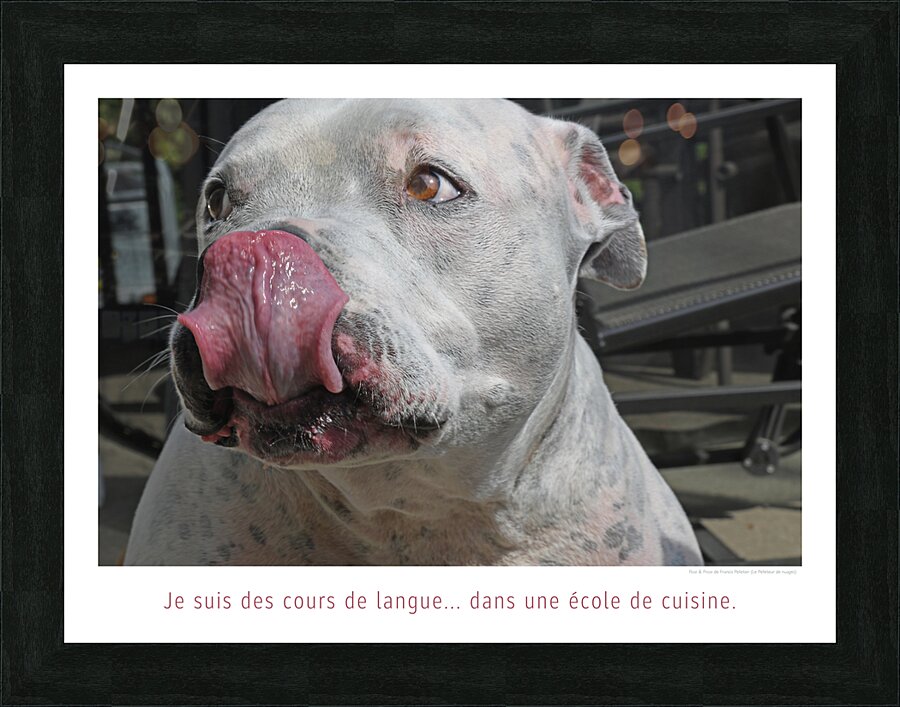 CORDON ROUGE Picture Frame print