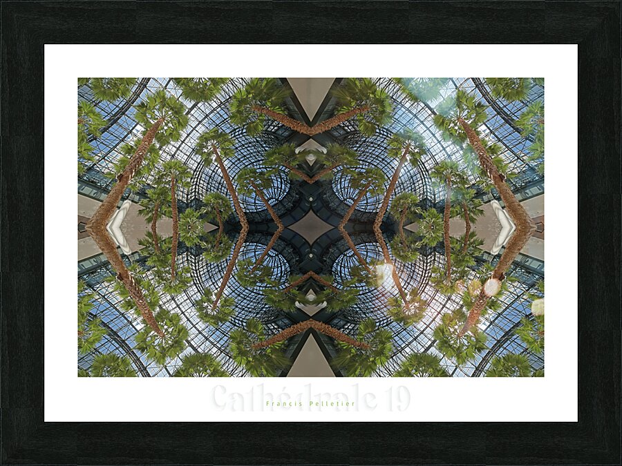 CATHEDRALE 19 Picture Frame print
