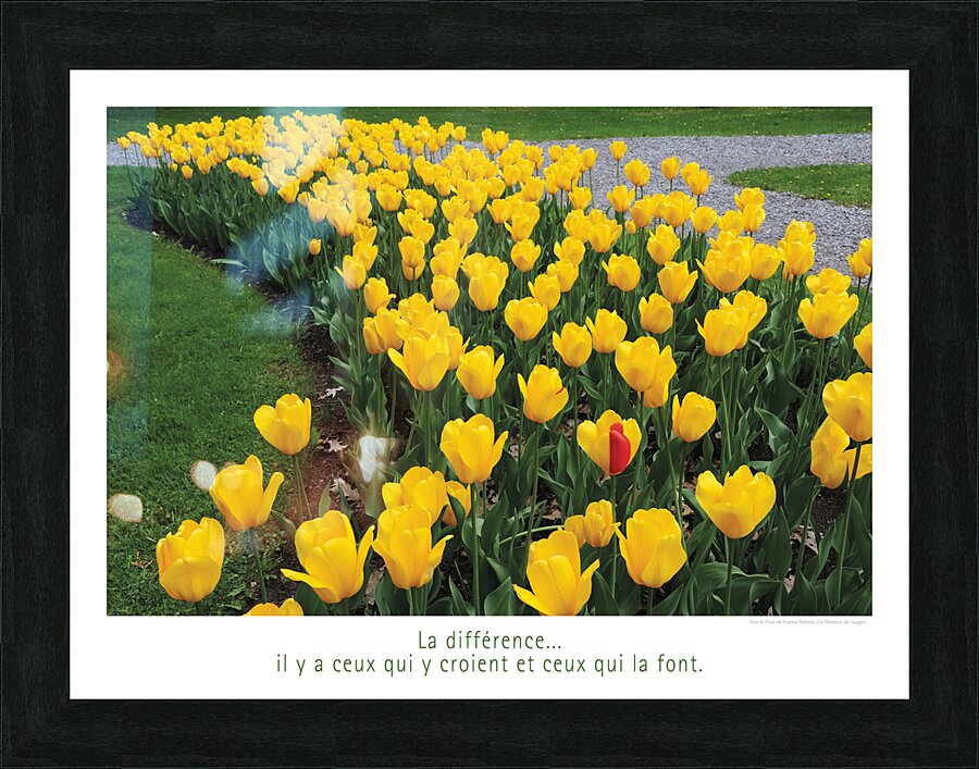 LA DIFFERENCE Picture Frame print
