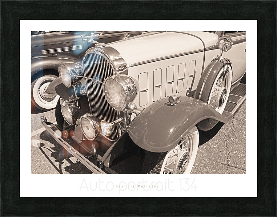 AUTO PORTRAIT 134 Picture Frame print