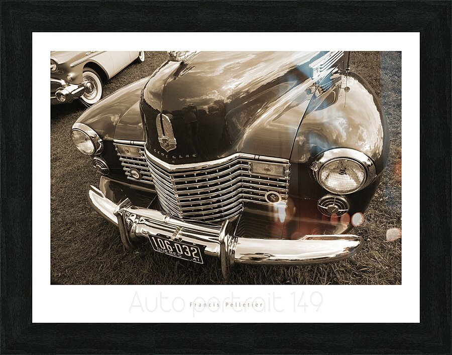 AUTO PORTRAIT 149 Picture Frame print