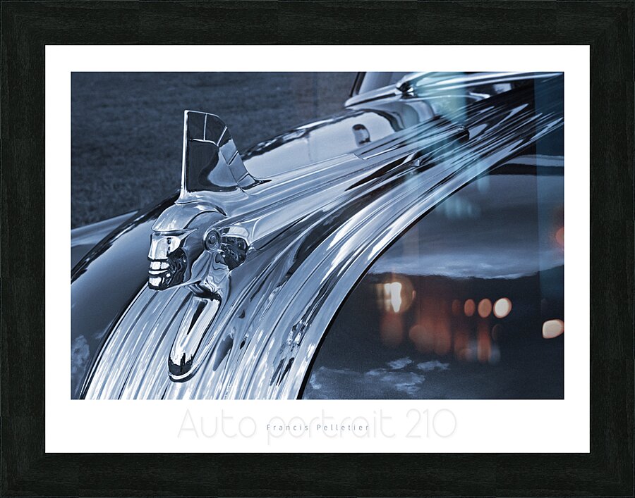 AUTO PORTRAIT 210 Picture Frame print