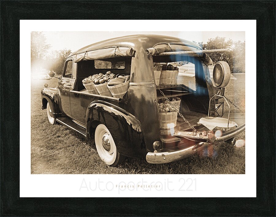 AUTO PORTRAIT 221 Picture Frame print