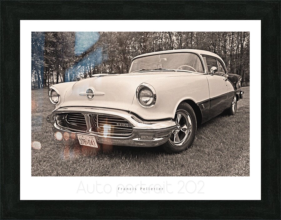 AUTO PORTRAIT 202 Picture Frame print