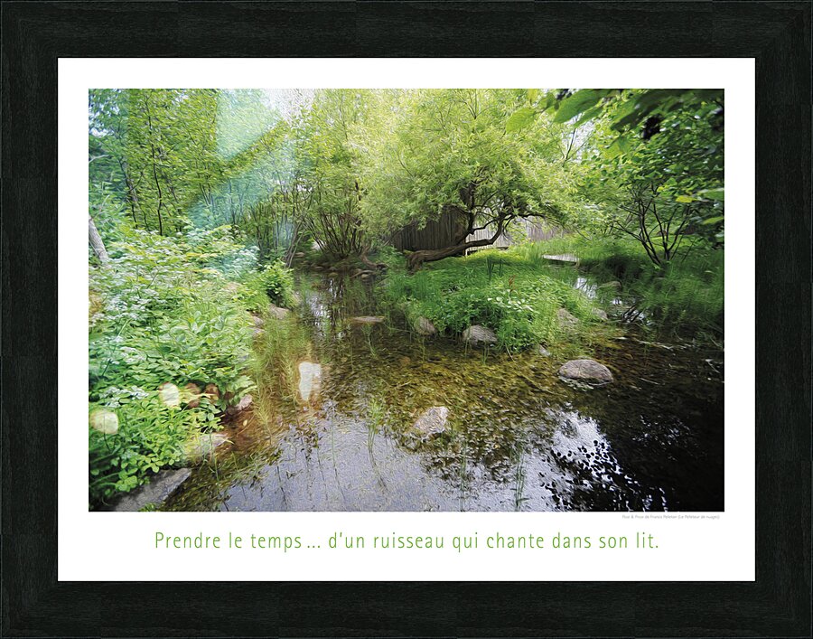 LA CLASSE VERTE Picture Frame print