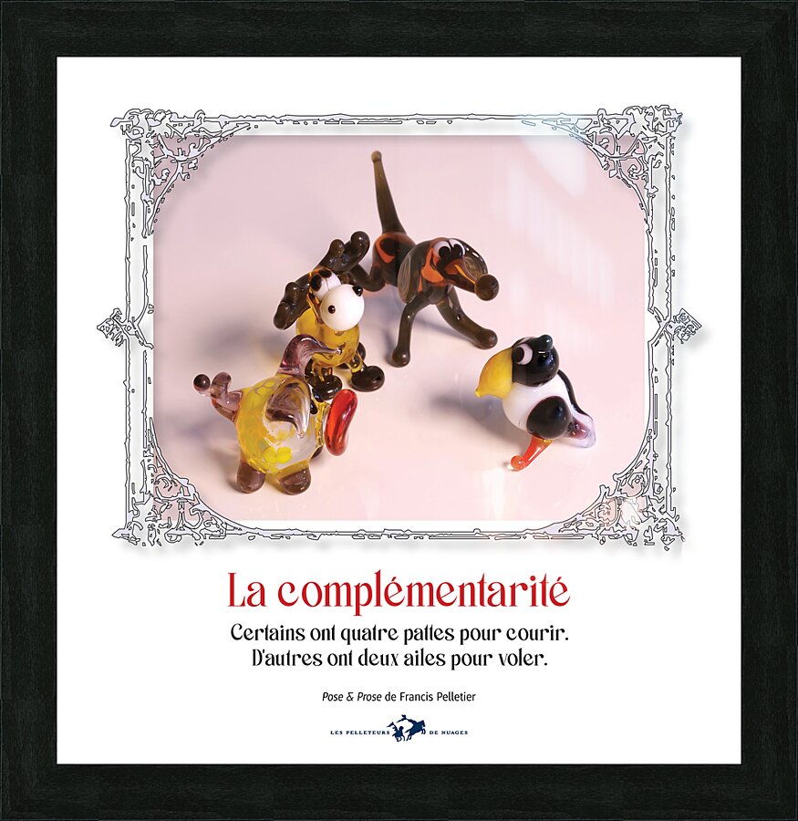 LA COMPLEMENTARITE Picture Frame print