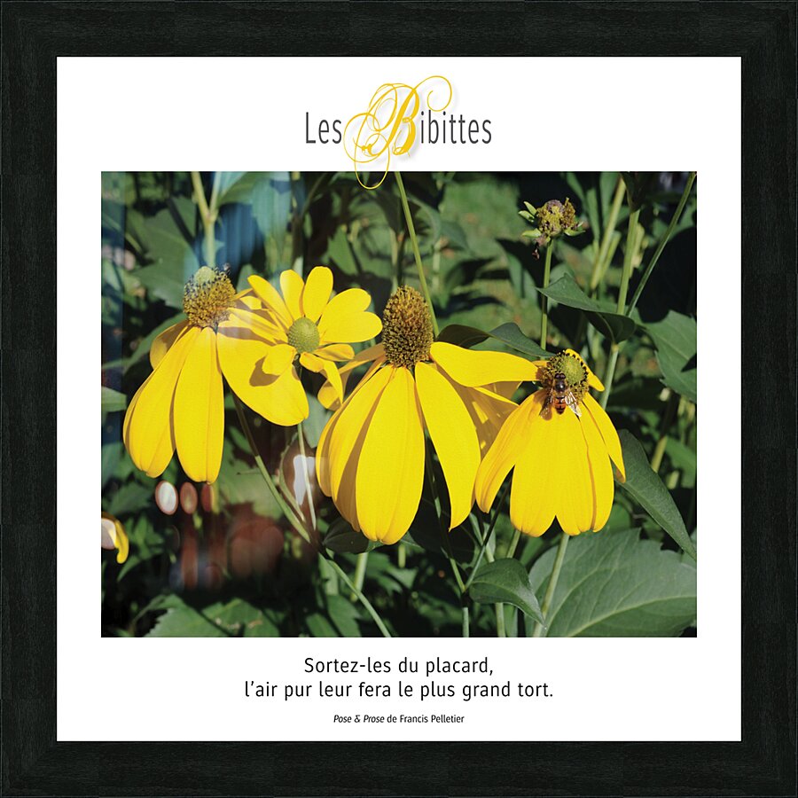 LES BIBITTES 8 Picture Frame print