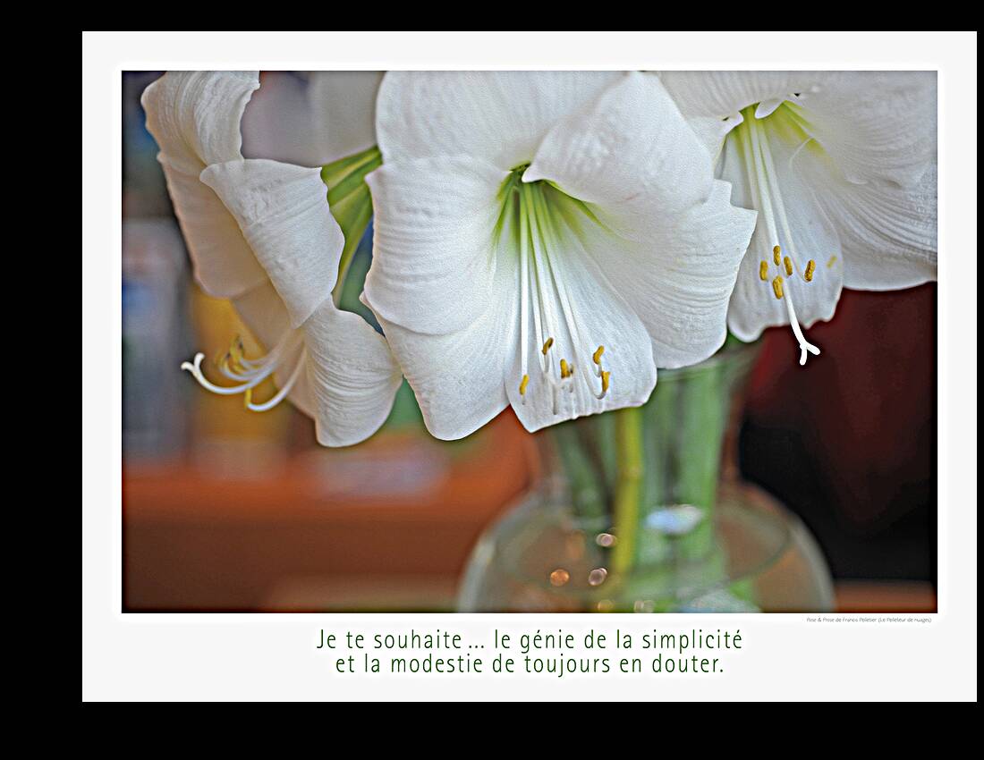 LE GENIE DE LA SIMPLICITE Reproduction