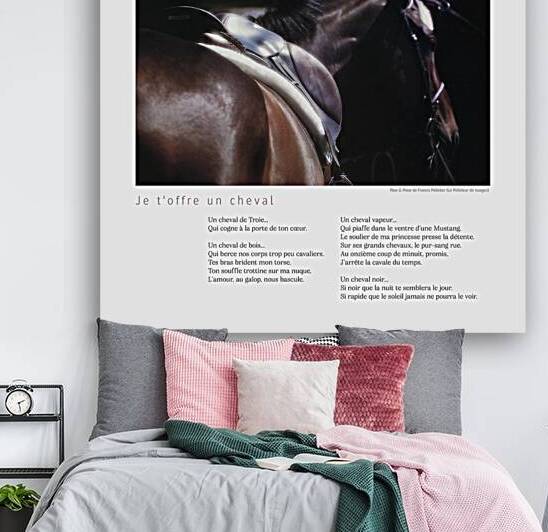 JE T OFFRE UN CHEVAL by Francis Pelletier