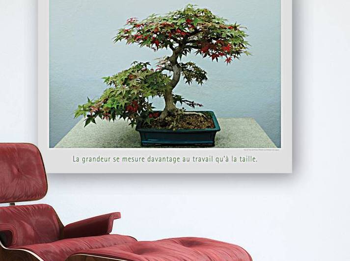 LE PETIT GEANT Reproduction