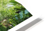 TAKE THE TIME FOR A STREAM HD Metal print