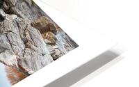 I OFFER YOU A BROOK HD Metal print
