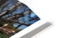 THE ESSENTIAL STEP BACK HD Metal print