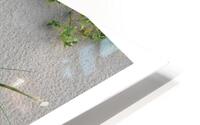 TES PAS SUR LE SABLE HD Metal print