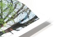 LA LECON DE SEDUCTION HD Metal print