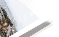 MER EST MERE HD Metal print