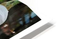 LA SCENE HD Metal print