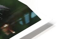 LE PRETENTIEUX HD Metal print