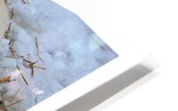 SOLITUDE HD Metal print