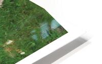 AVERTISSEMENT HD Metal print