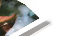 ENVOLEZ VOUS HD Metal print