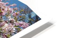 LES BRAS CHARGES HD Metal print