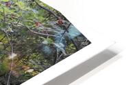 LE FIL DE L EAU HD Metal print