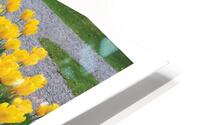LA DIFFERENCE HD Metal print