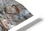 LA PERSEVERANCE HD Metal print
