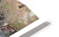 LE REPECHAGE HD Metal print