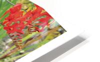 BUFFET A VOLONTE HD Metal print