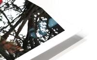 LA FIERTE HD Metal print