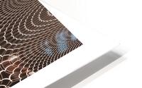 HYPNOSE 16 HD Metal print