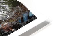 ANIMAL HD Metal print