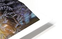 RELIEF 5 HD Metal print