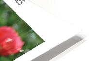 LES BIBITTES 5 HD Metal print