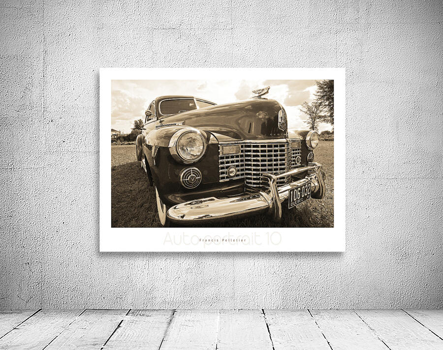 AUTO PORTRAIT 10 Wall Preview