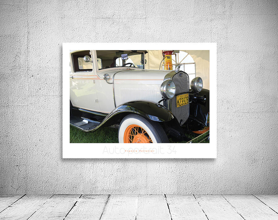 AUTO PORTRAIT 34 Wall Preview