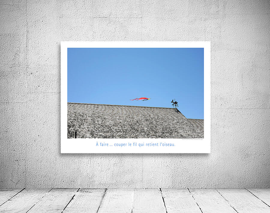 LE FIL Wall Preview