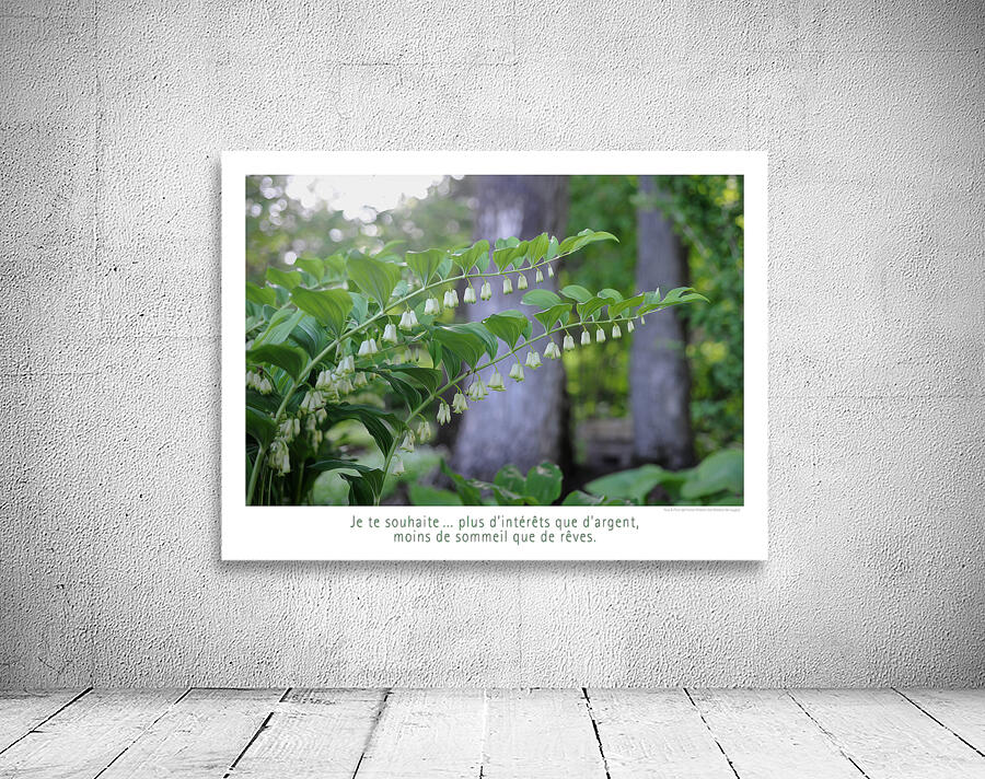 LES CLOCHETTES Wall Preview